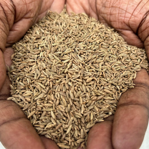 Premium quality 98.5% purity sortex cleaned single spice Cumin seeds bulk exporters from India.