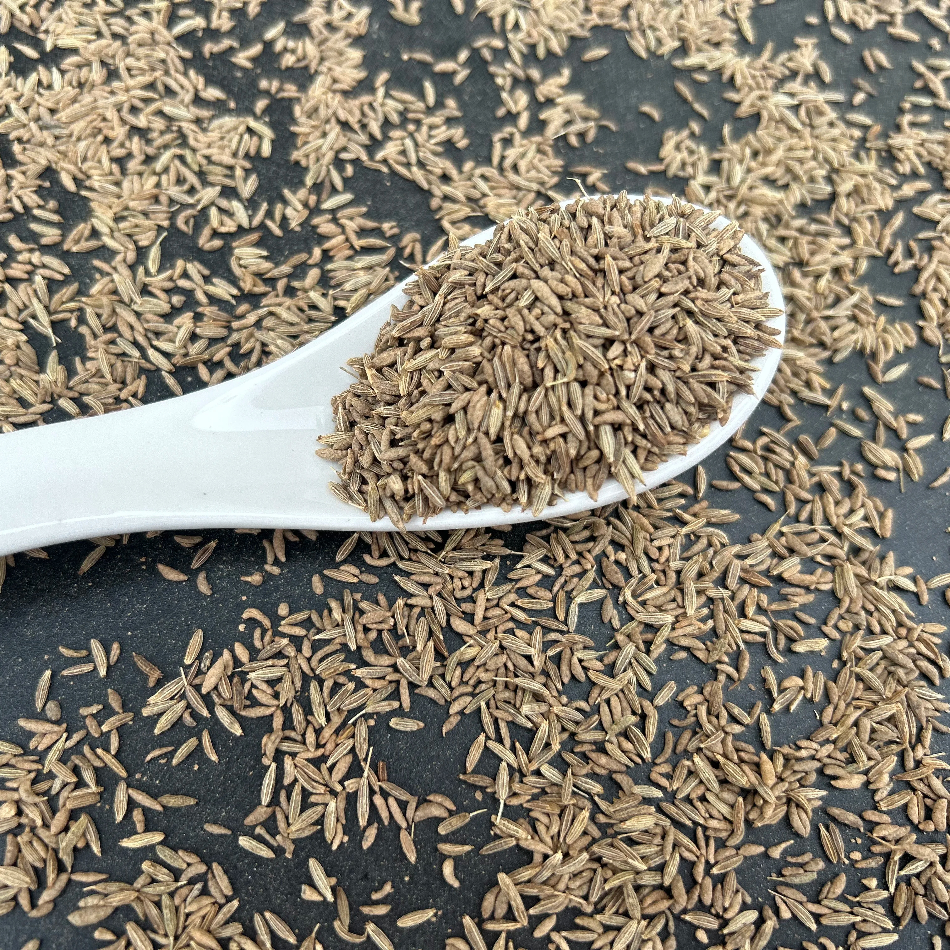 Best quality single spices and herbs cumin seeds jeera suppliers at wholesale price to Saudi Arabia