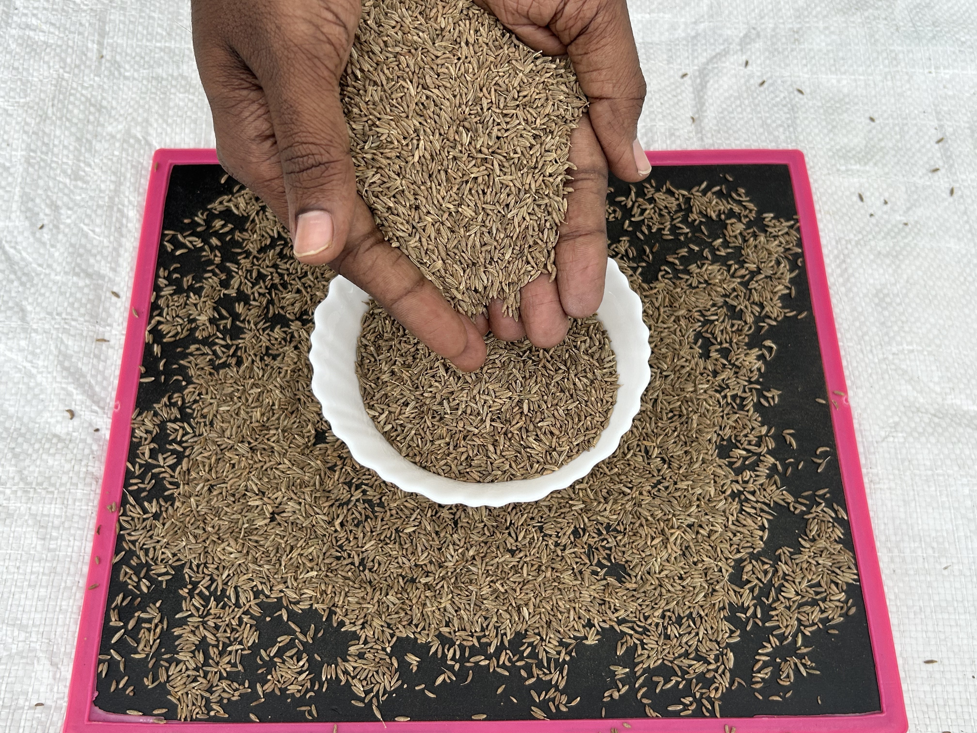 Indian Export quality non-GMO 98% purity cumin seeds supply from trusted wholesaler.