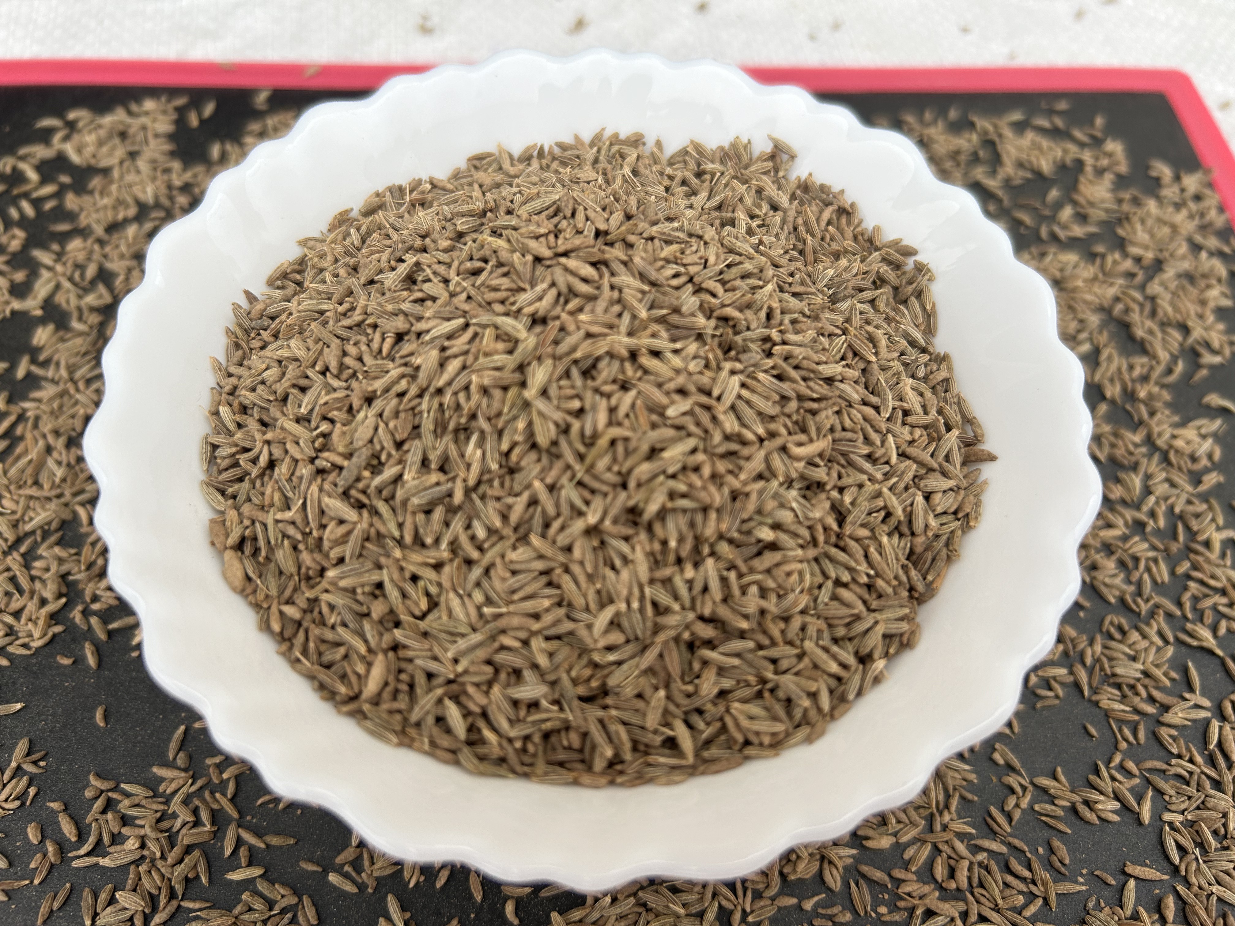 Premium grade sortex cleaned Indian cumin seeds in long life seeds available from India.