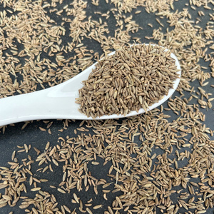 Export quality Indian jeera cumin seeds for food and seasonings supply from India.