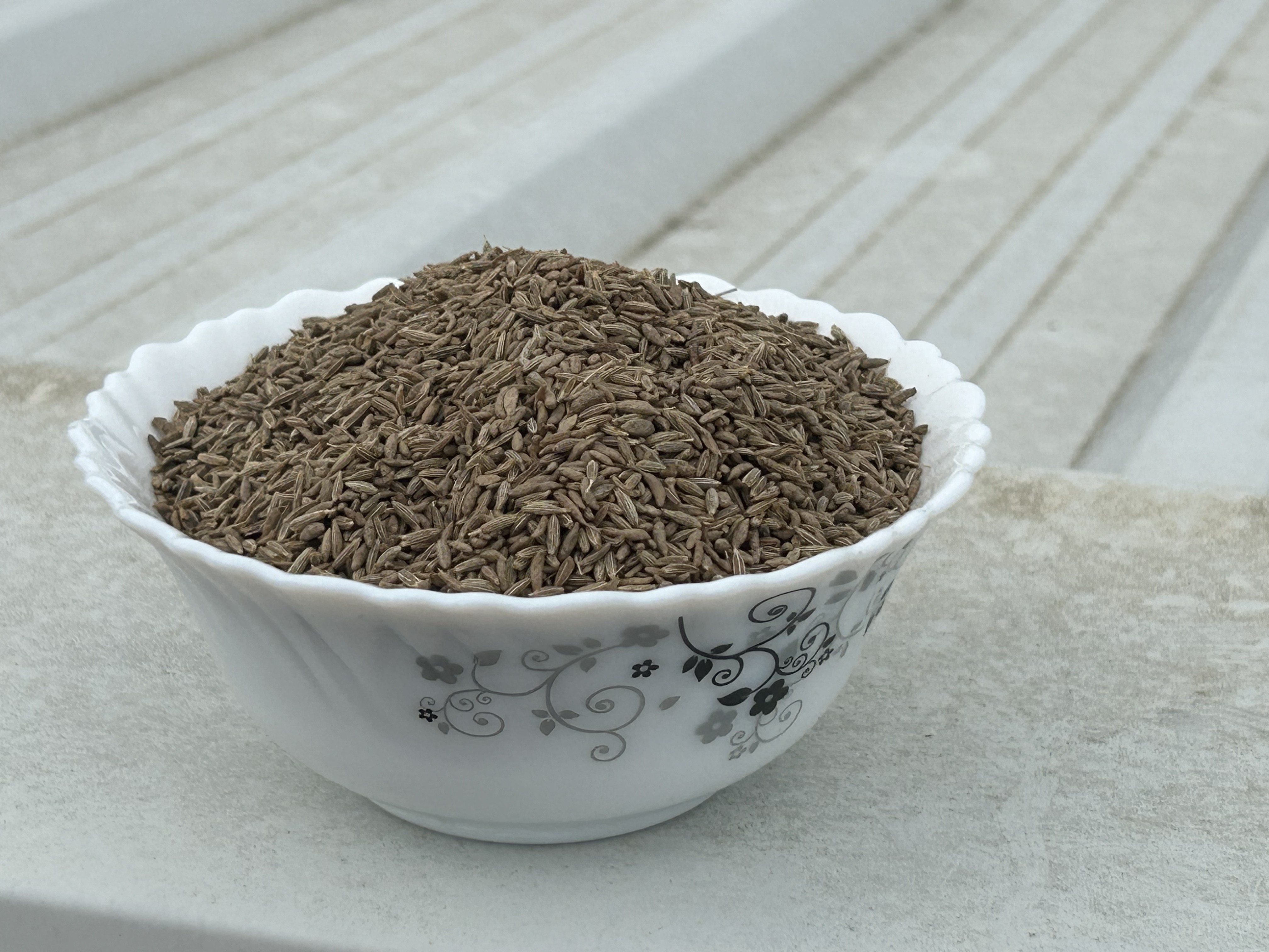 Indian cumin seeds jeera Sortex cleaned direct supply from factory to importer at wholesale price