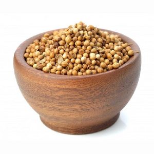 CORIANDER SEED WHOLESALE Natural Dried Coriander Seeds Single Spices and Herbs Dried Coriander at Factory Price INDIAN ORIGINE