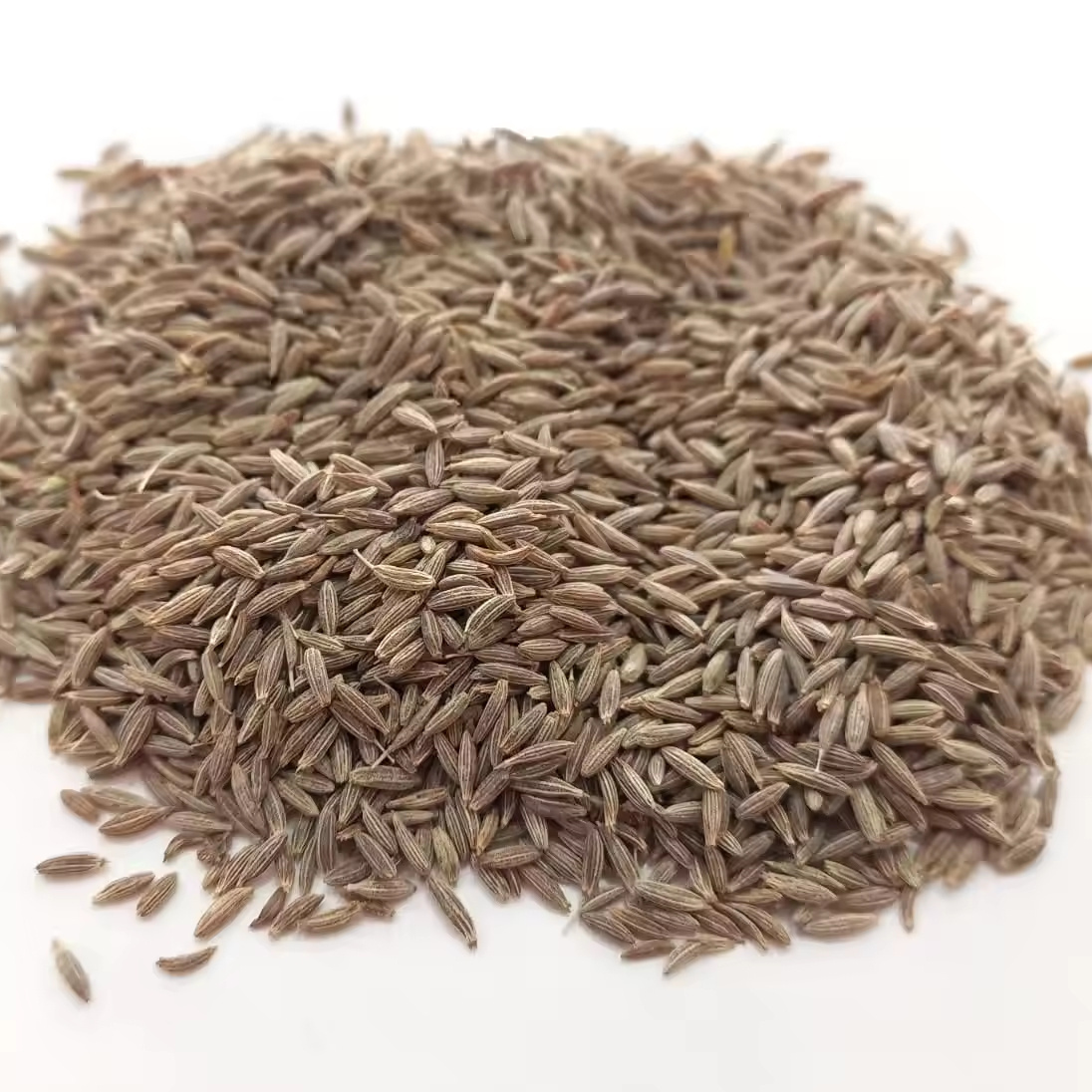 100% Pure and High Quality Cumin Seeds Single Spice & Herb in Natural Granule Raw Processed Seasoning