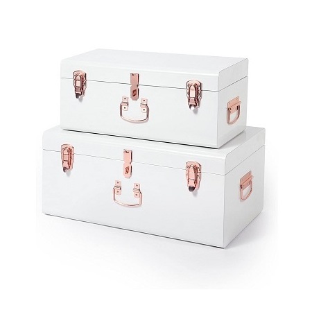 Fantastic Design Metal Storage Boxes With Gold Handles Locks Pink Color Storage Trunk Box