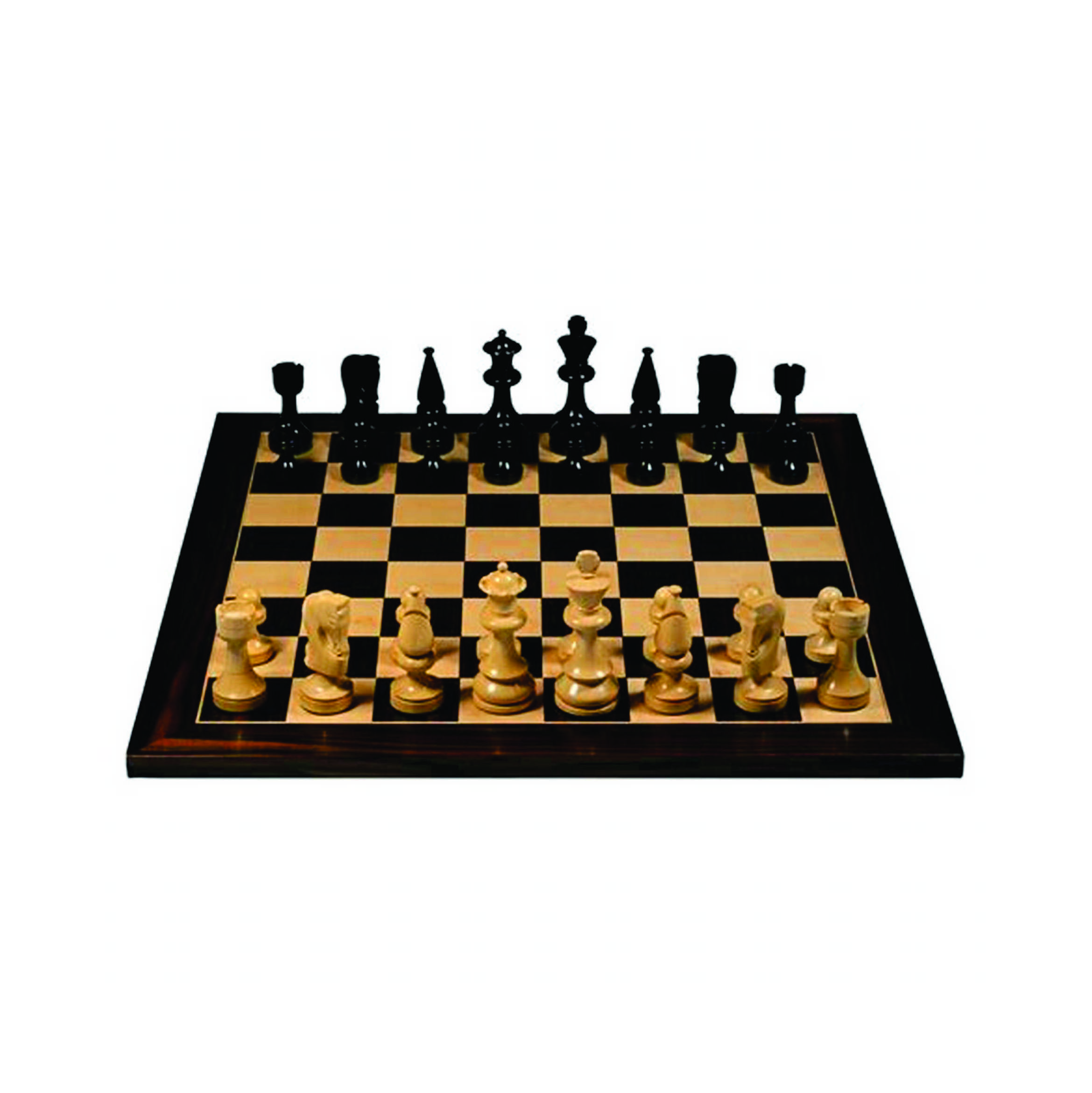 Foldable Magnetic Chess Set for Entertainment