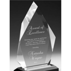 Engraved Acrylic Diamond Award  Plaque Employee Recognition Retirement Appreciation Corporate Award Custom Gift Multiple Sizes