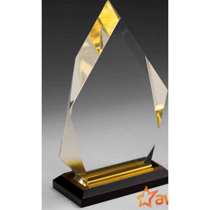 Engraved Acrylic Diamond Award  Plaque Employee Recognition Retirement Appreciation Corporate Award Custom Gift Multiple Sizes