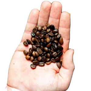 Buy Freshly Roasted Coffee Beans Online Roasted Coffee Beans