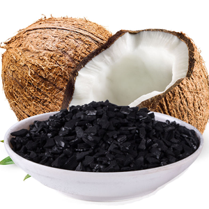 Activated carbon from coconut shell water treatment coal