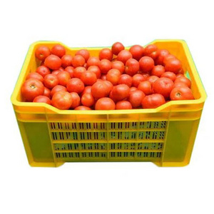 Round Cooking Tomato Seeds Tomato Indian Uttar Pradesh, India Organic 100% High Quality Fresh Red Tomato 1kg Price 10 Kg 2 Month