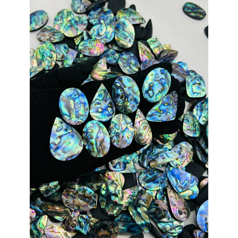 Gorgeous Wholesale Natural Holiday Decoration Abalone Shell Available at Low Price from Indian Exporter and Manufacturer