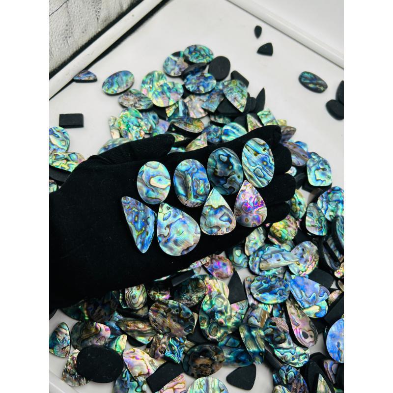 Gorgeous Wholesale Natural Holiday Decoration Abalone Shell Available at Low Price from Indian Exporter and Manufacturer