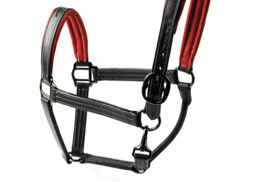 Equestrian Elegance: Handcrafted Horse Leather Halter for Distinctive Style and Comfort in Equine Tack