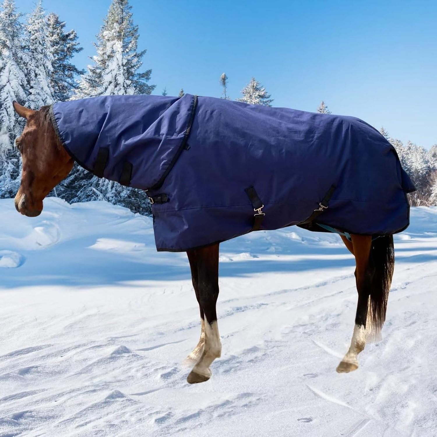 Waterproof Horse Turnout Blanket Heavy 1200D Ripstop Horse Winter Blanket Sheet 400g Fill with Detachable Neck Cover