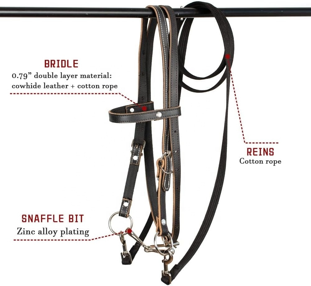 Leather Horse Bridle, Adjustable Western Brow band Bridles for Horses with Bits and Detachable Reins (S (Below 1.2 Meters), Red)