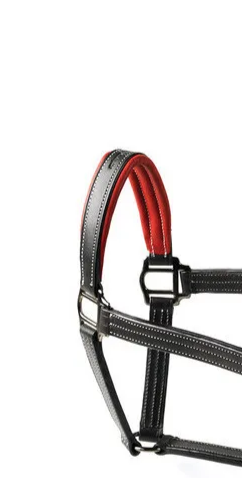 Equestrian Elegance: Handcrafted Horse Leather Halter for Distinctive Style and Comfort in Equine Tack