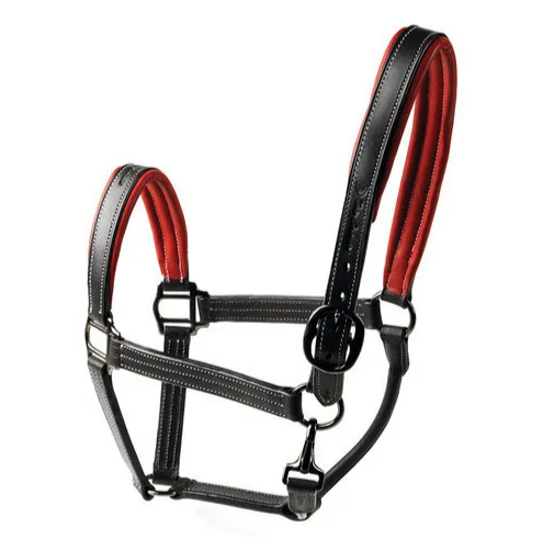 Equestrian Elegance: Handcrafted Horse Leather Halter for Distinctive Style and Comfort in Equine Tack