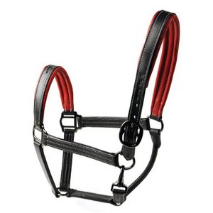 Equestrian Elegance: Handcrafted Horse Leather Halter for Distinctive Style and Comfort in Equine Tack