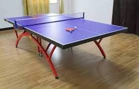 Secret  Grove High Quality 15mm Indoor Foldable Movable Table Standard Size Table Tennis Table