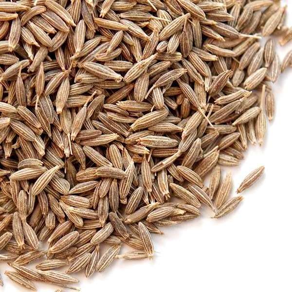 FRESH CROP PREMIUM QUALITY CUMIN JEERA SEEDS AND CUMIN POWDER AVAILABLE AT VERY BEST PRICES FROM INDIA