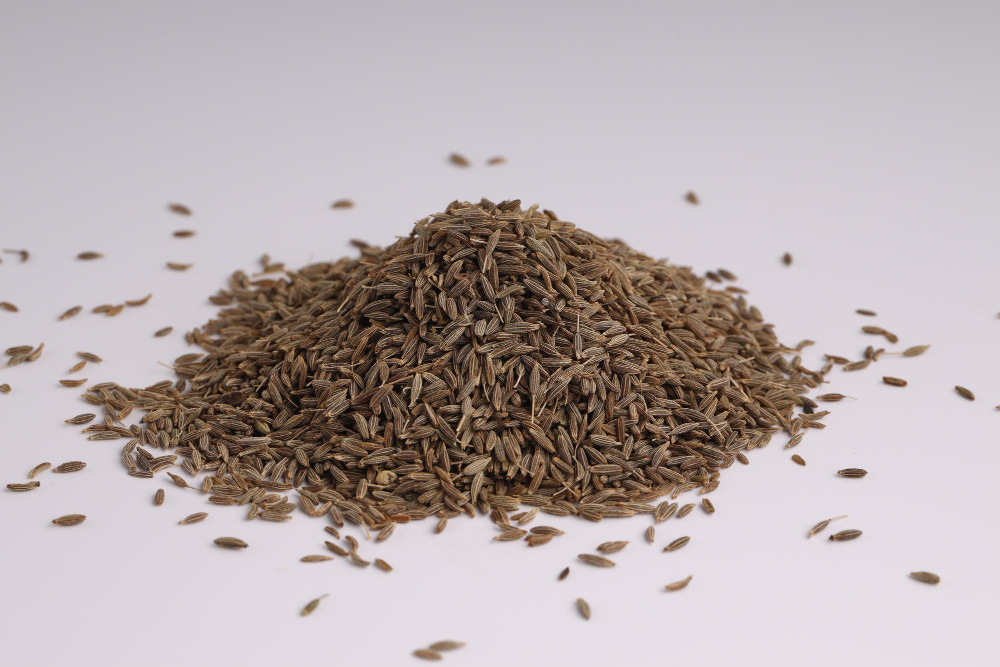 FRESH CROP PREMIUM QUALITY CUMIN JEERA SEEDS AND CUMIN POWDER AVAILABLE AT VERY BEST PRICES FROM INDIA