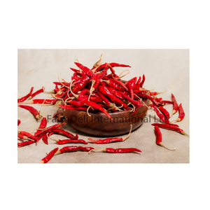 Export Quality Seasonings Spice S17 Teja -Guntur Red Chilly With Stem for Worldwide Export from India