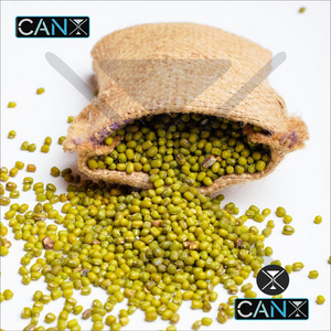 High Quality Green Mung Beans From India, Wholesale Splits Green Mung Beans