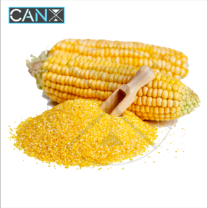 High Quality Organic and Natural Yellow Corn Maize Grit in Bulk Quantity  in Cheap Price Exporting from India