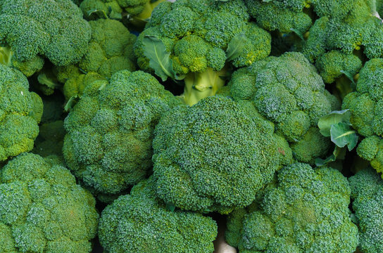 High Quality 100% Organic and Green IQF Frozen Broccoli Florets of Various Sizes and Shapes for export Frozen in Bulk Quantity