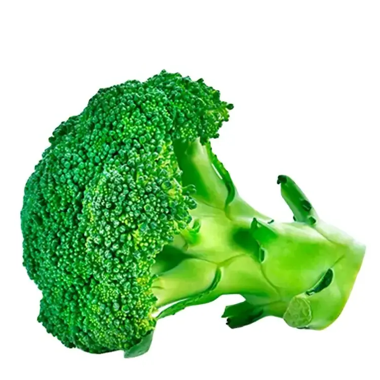 High Quality 100% Organic and Green IQF Frozen Broccoli Florets of Various Sizes and Shapes for export Frozen in Bulk Quantity