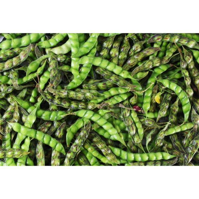 Premium Quality Food Grade Green Pigeon Peas Wholesale Bulk Style Storage Packing and Packaging ready for export