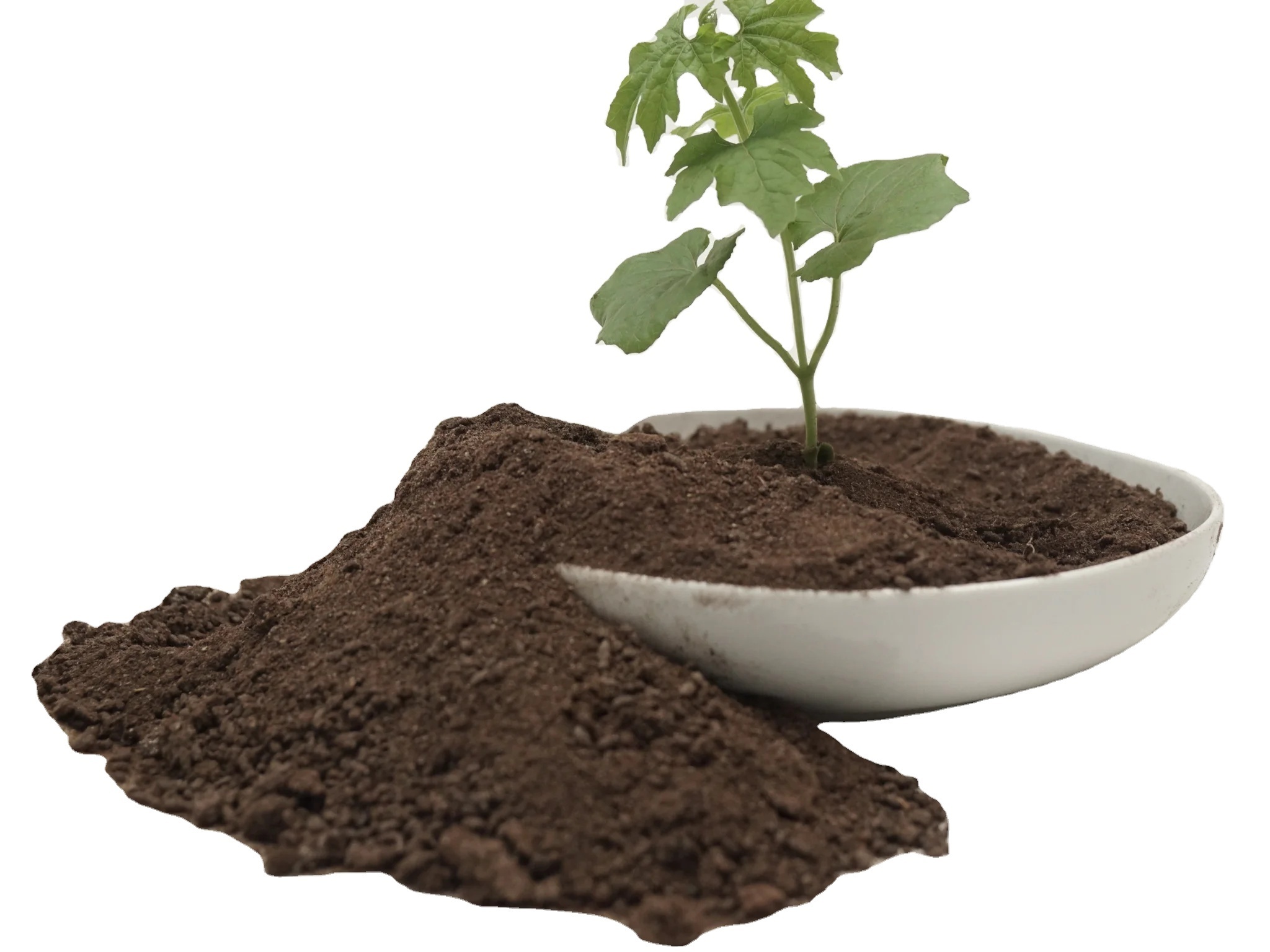 Organic fertilizer made from selected premium bat guano fertilizer at competitive prices