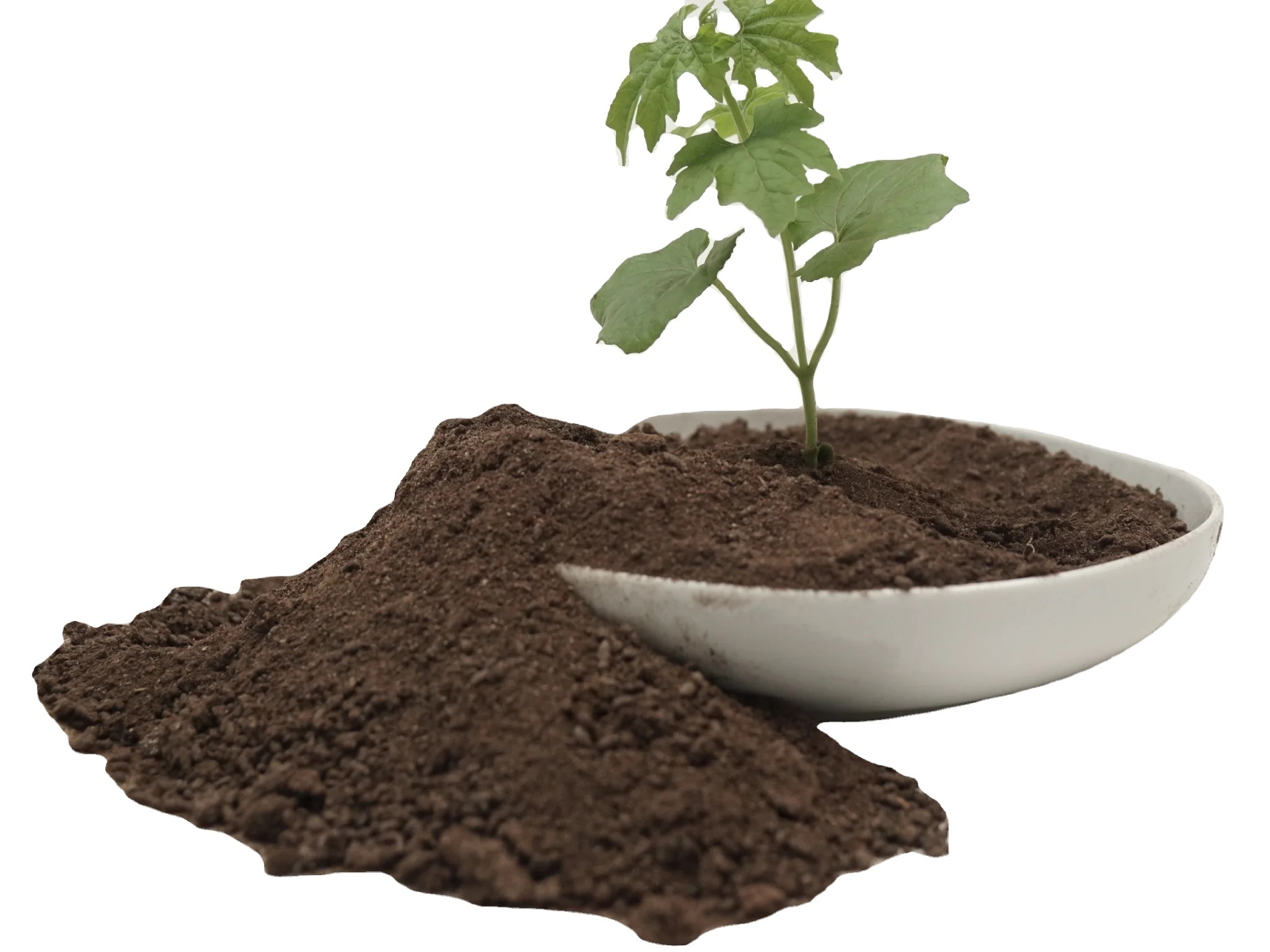 Fertilizer good Fresh Bat Guano Fertilizer with Rich Nitrogen and High Solubility