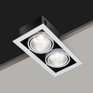 Double Heads Down Lights LED Ceiling Light 10W 20W 30W Multiple LED COB Recessed Anti-Glare Grille Downlight