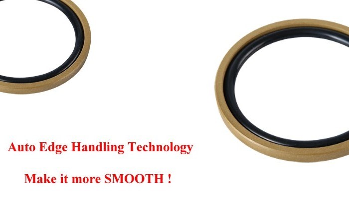 INDELSEALS high-quality PTFE+Copper Piston seal GSF Glyd Ring