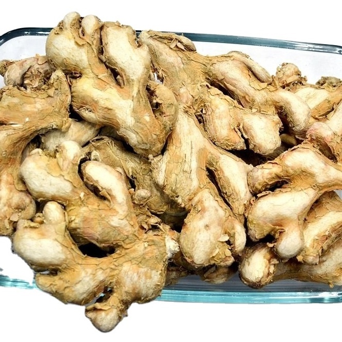 Bulk Dry Ginger Exporter In India Expotic Spice Ginger For Global Market High Quality Cheap Price Spice For Export