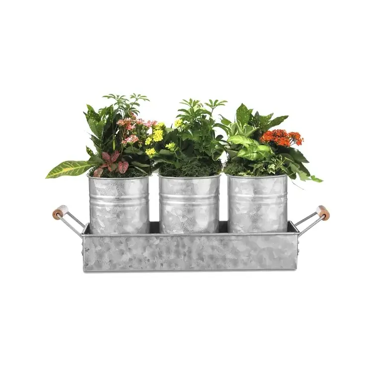 Amazon Hot Sale buy online in India At best price Metal 3-Pcs Indoor Cachepot Planter Set For Living Dining Room & Kitchen Decor