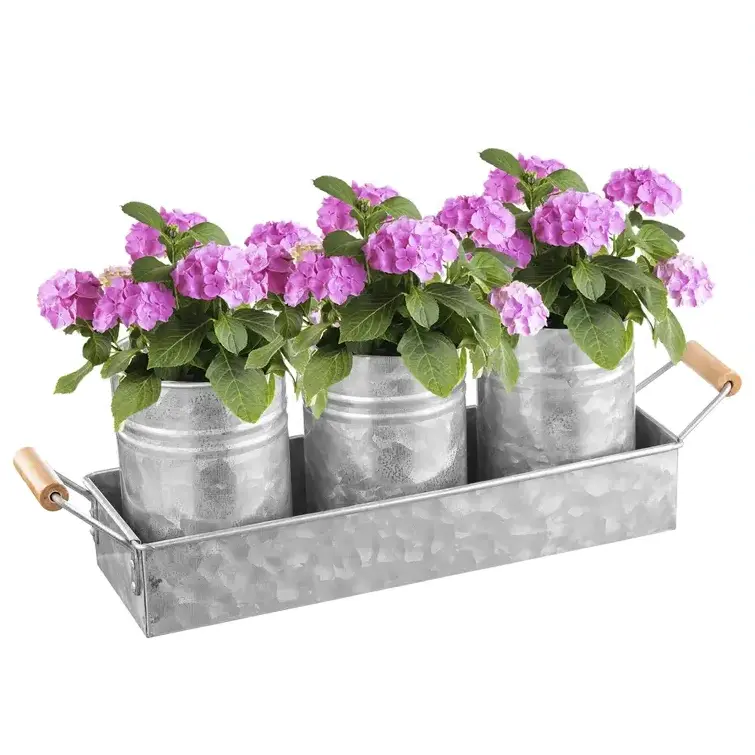 Amazon Hot Sale buy online in India At best price Metal 3-Pcs Indoor Cachepot Planter Set For Living Dining Room & Kitchen Decor