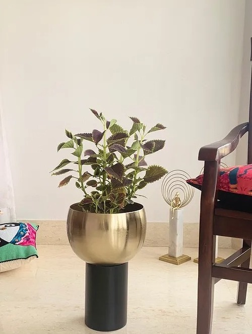 Modern buy in wholesale Handcrafted in India Metal Golden And Black Brooklyn Planter For Entryway Balcony Living Room Decoration