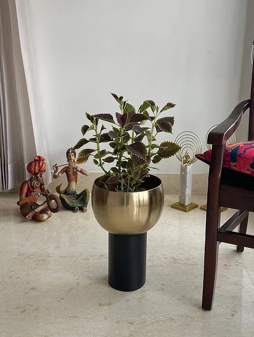 Modern buy in wholesale Handcrafted in India Metal Golden And Black Brooklyn Planter For Entryway Balcony Living Room Decoration