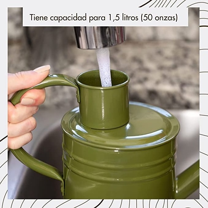 Best Quality made in India buy in Wholesale price Elegant Long Spout Green Metal Watering Can For Home And Garden Decoration