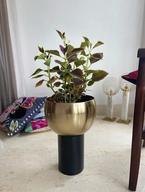 Modern buy in wholesale Handcrafted in India Metal Golden And Black Brooklyn Planter For Entryway Balcony Living Room Decoration