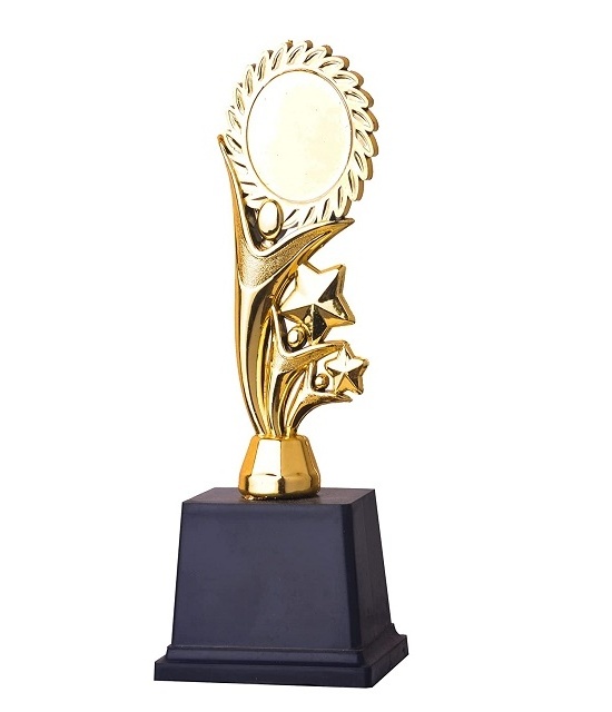 Premium Quality Trophies for Student Collage Institute Events Award Trophy Gift Home and Office Decoration Metal Customized Logo