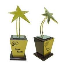 Premium Quality Trophies for Student Collage Institute Events Award Trophy Gift Home and Office Decoration Metal Customized Logo