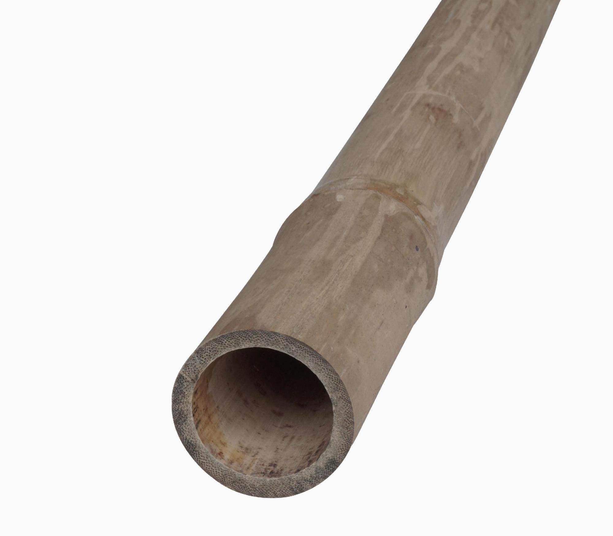 400 CM High Quality Gigan Bamboo Poles Treated for Building Construction