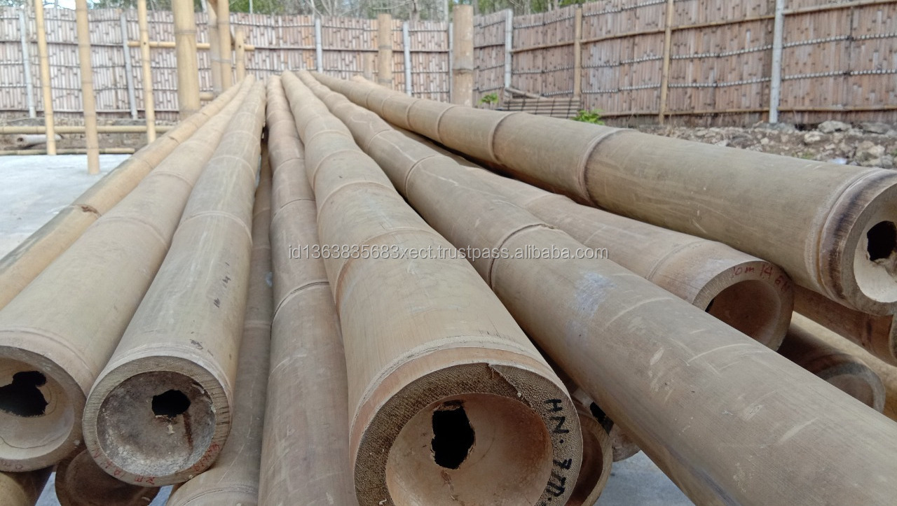 READY TO SHIP 300 CM Large Bamboo Material Gigan Bamboo Poles Treated for Construction Giant Bamboo