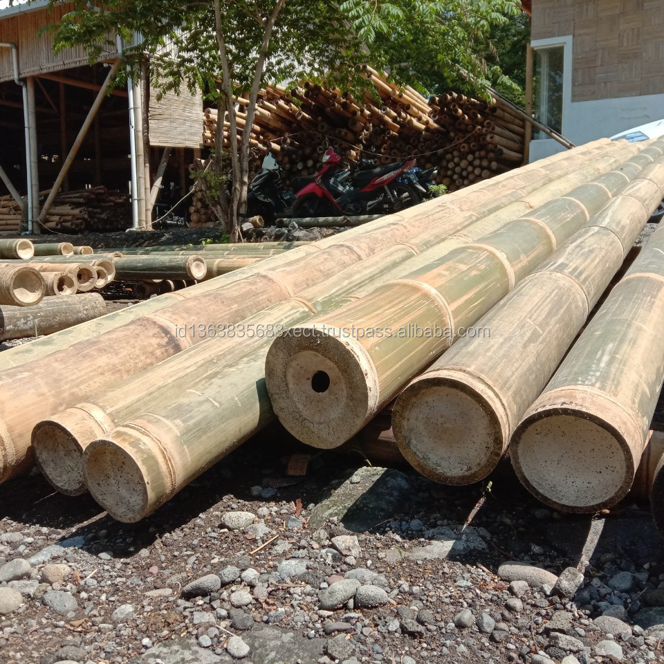 READY TO SHIP 300 CM Large Bamboo Material Gigan Bamboo Poles Treated for Construction Giant Bamboo