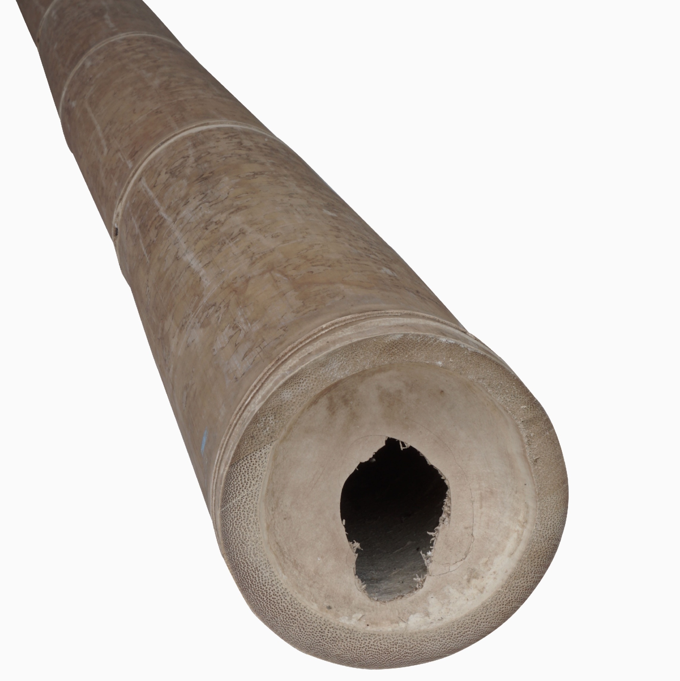 400 CM High Quality Gigan Bamboo Poles Treated for Building Construction