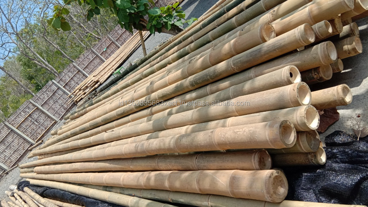 READY TO SHIP 300 CM Large Bamboo Material Gigan Bamboo Poles Treated for Construction Giant Bamboo